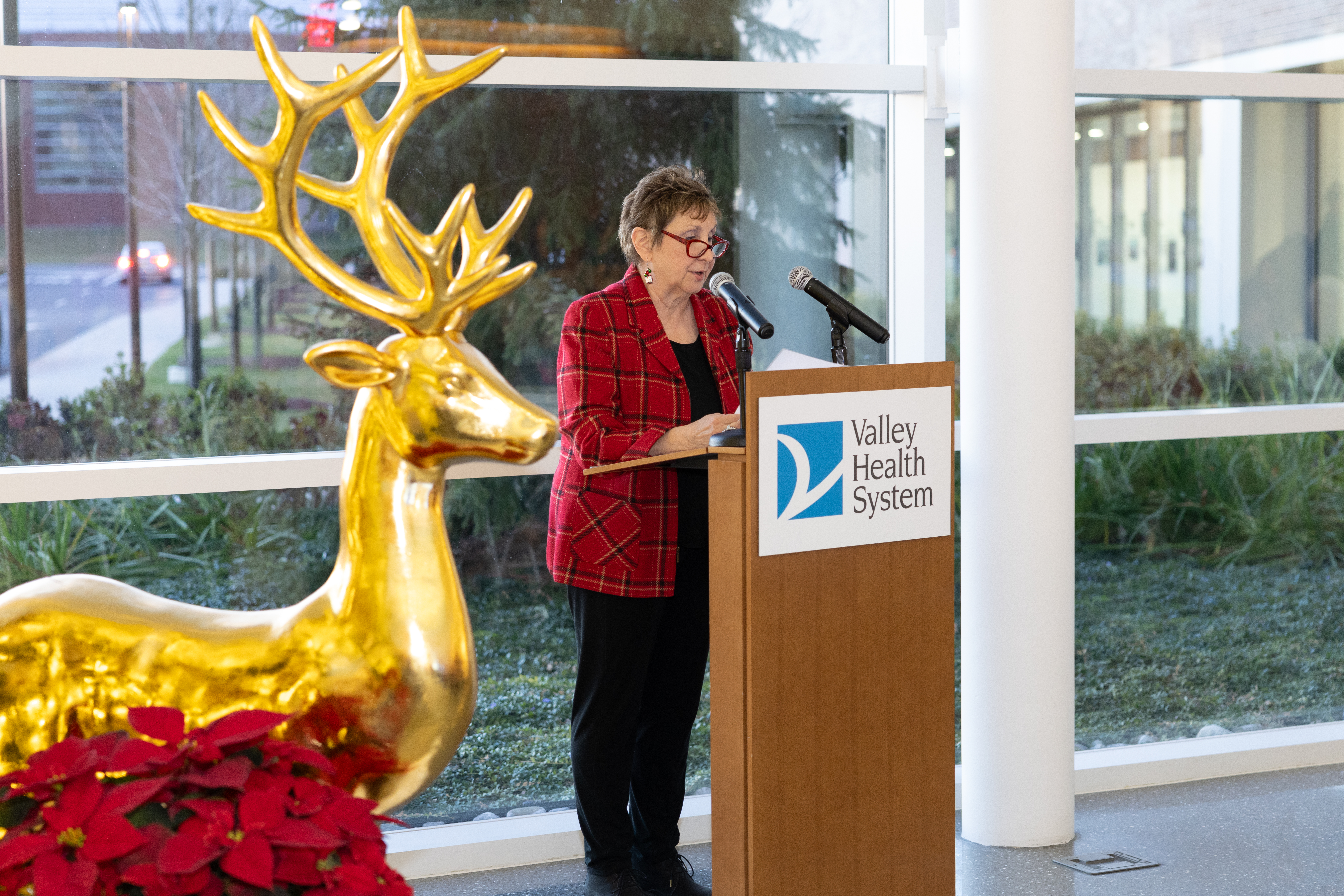 2024 Valley Hospital Auxiliary Tree of Light Ceremony