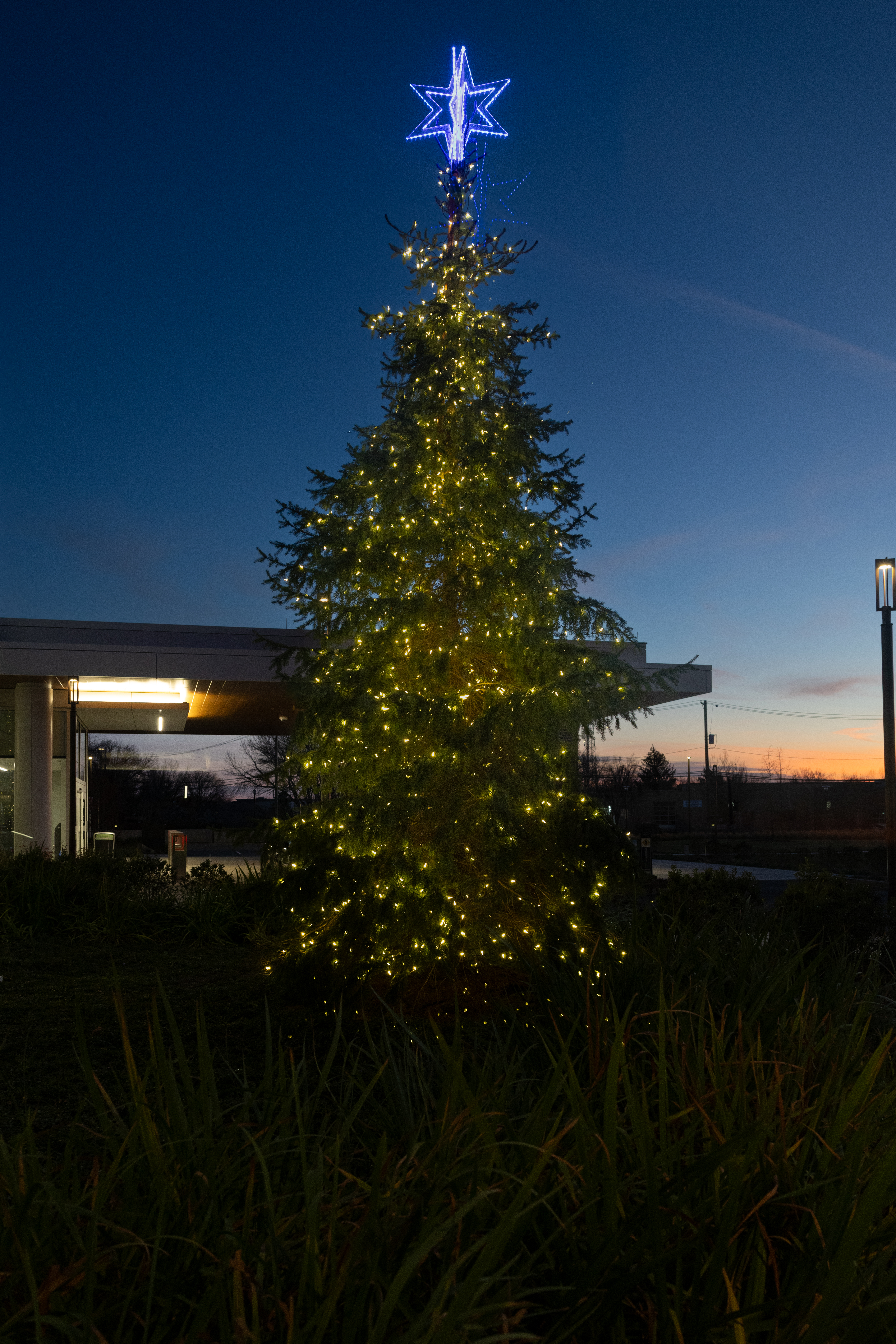 2024 Valley Hospital Auxiliary Tree of Light Ceremony