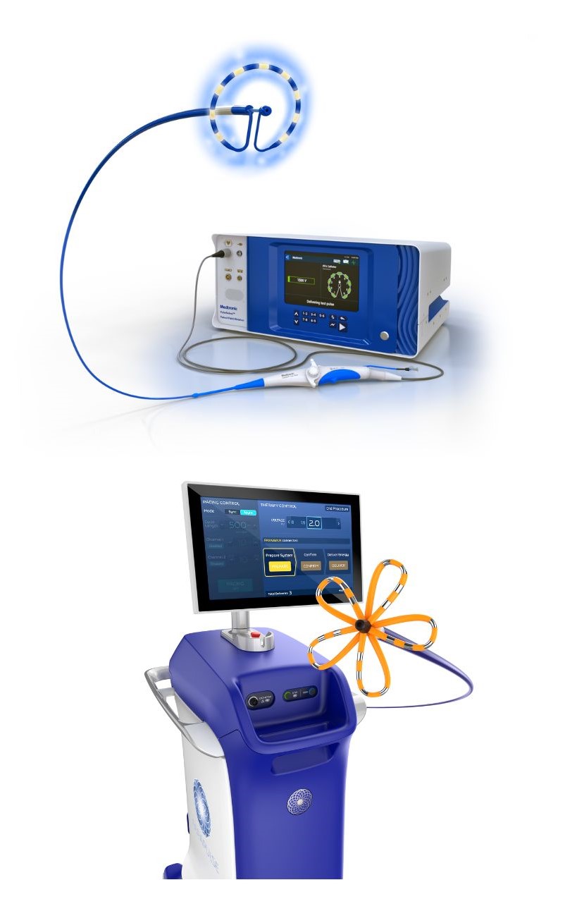 pulsed field ablation system