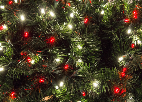 White and red holiday lights against green tree branches